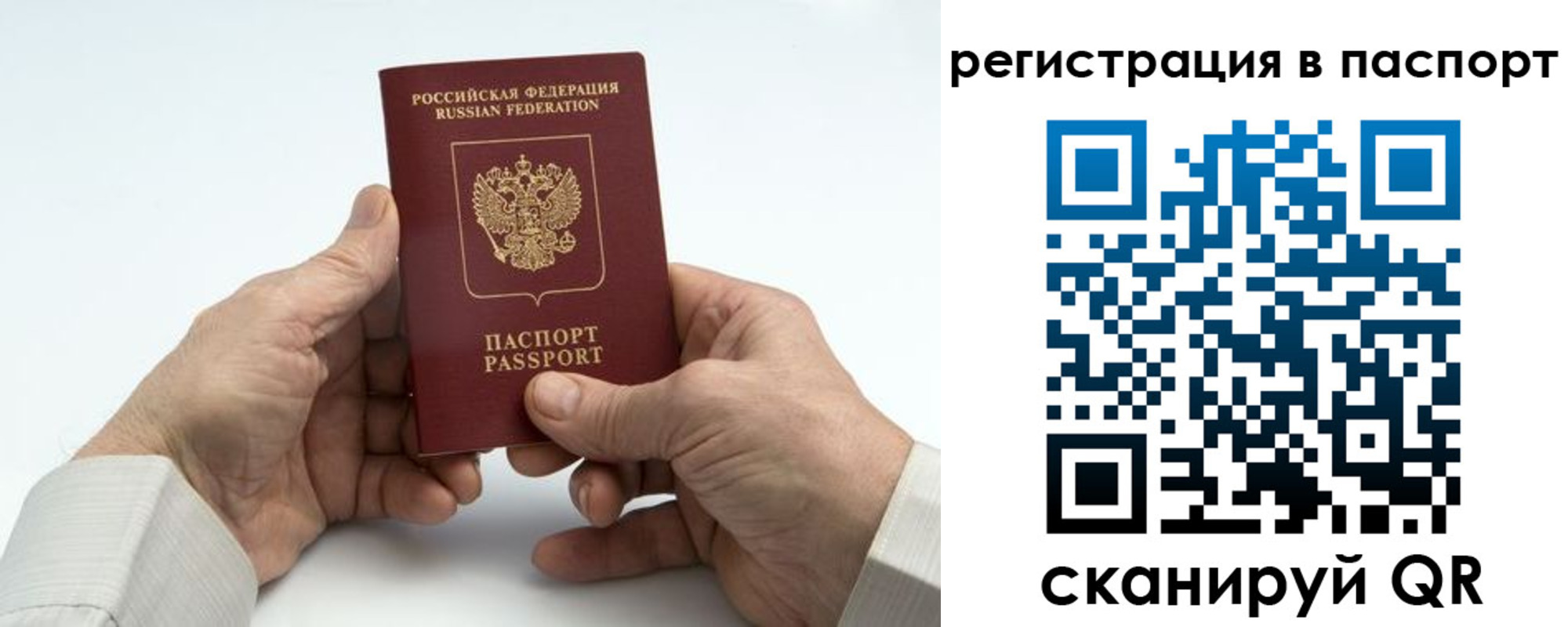 где прописаться в Сураже